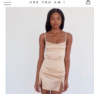 Are You Am I “Sissi” dress, brand new never worn with tags. Size small.